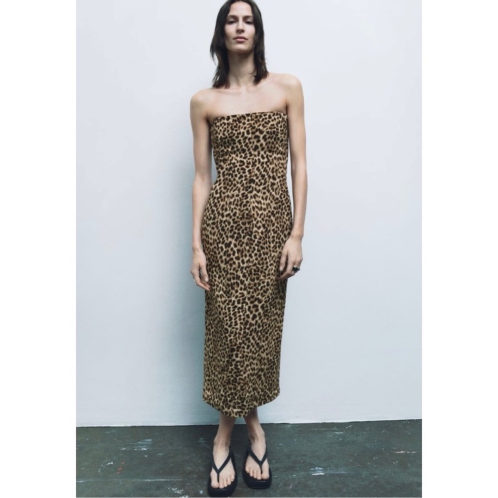 SOLD Zara Strapless Printed Tulle Dress